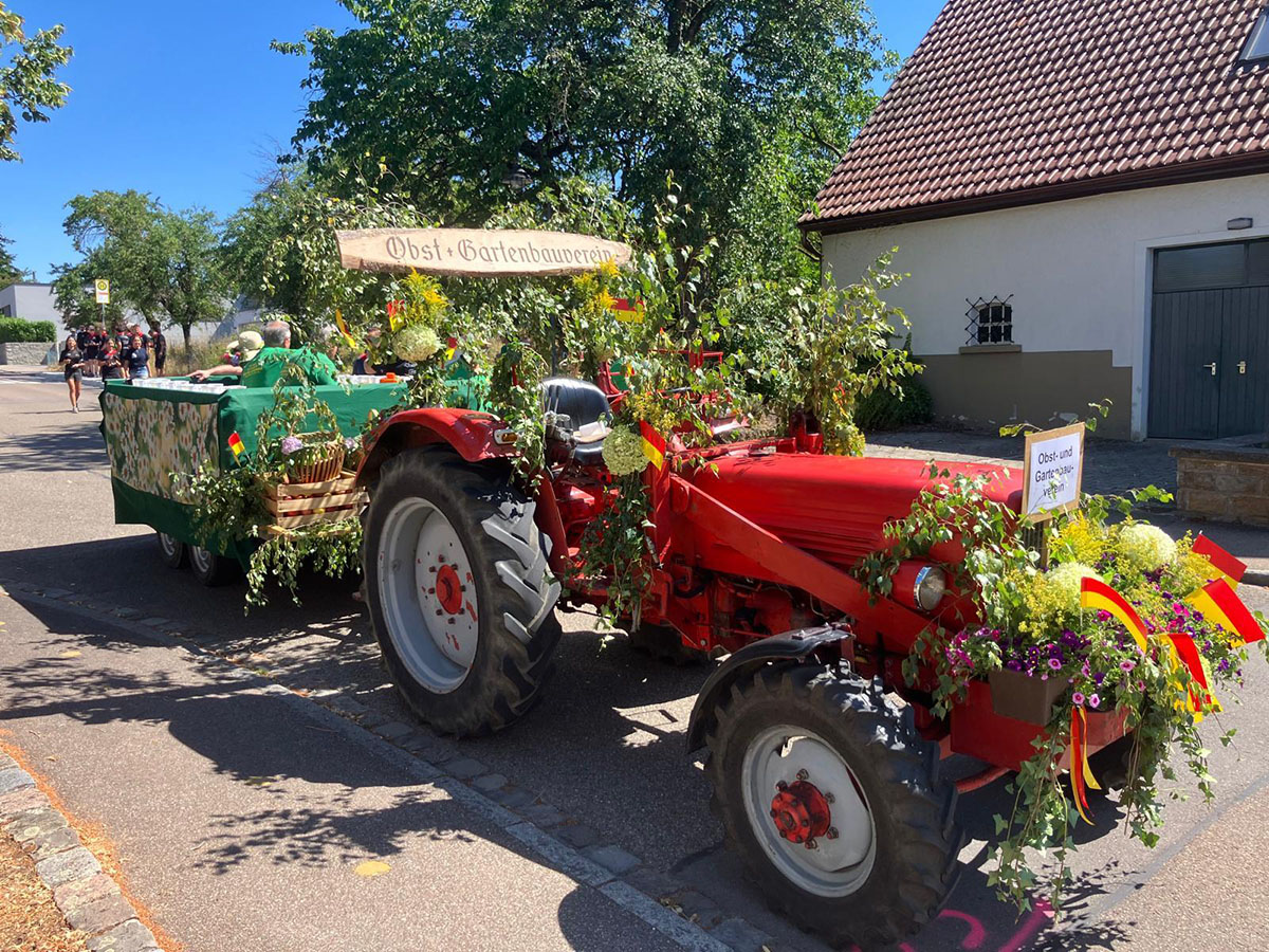 Historischer roter Traktor des Obst- und Gartenbauvereins Zell, festlich mit Blumen und Grünpflanzen geschmückt, zieht einen dekorierten Anhänger als Mostbar bei einem Festumzug an einem sonnigen Sommertag 2026.“